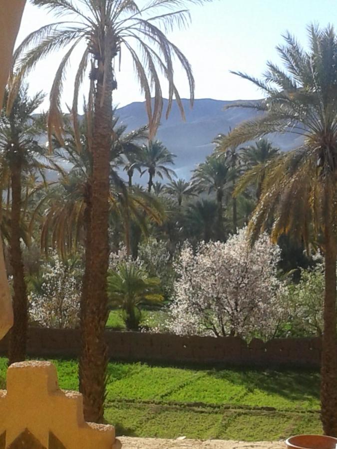 Kasbah Maktob Tamnougalt Hotel Agdz Bagian luar foto